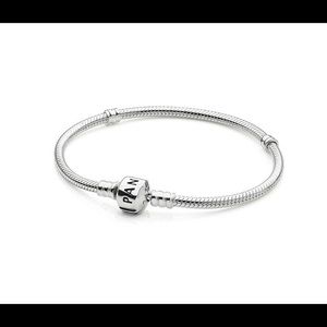 Silver Pandora Bracelet
